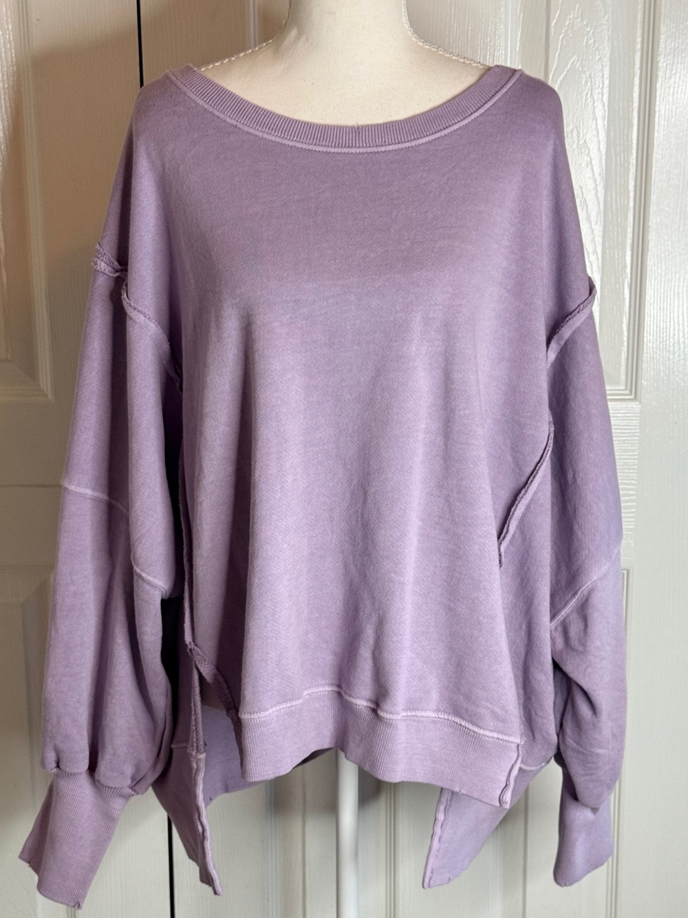 NWT Free People We The Free Camden Oversized Sweatshirt Frost Lavender S